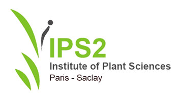 ips2